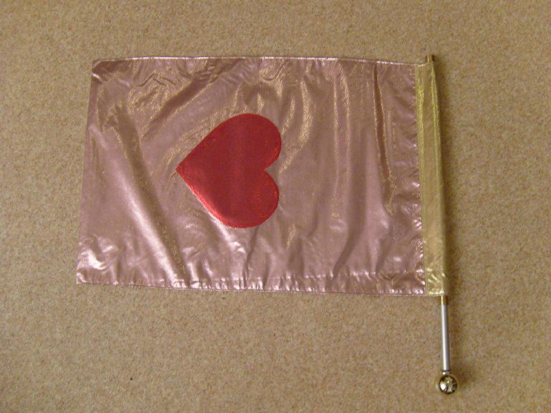 Set aluminium vlaggenstokken met knop
